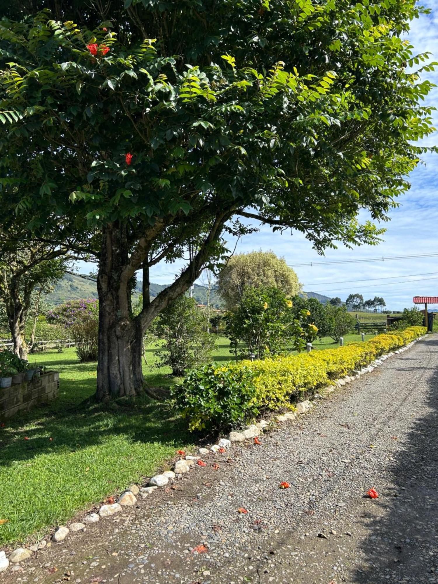 Paraiso Hotel Urrao