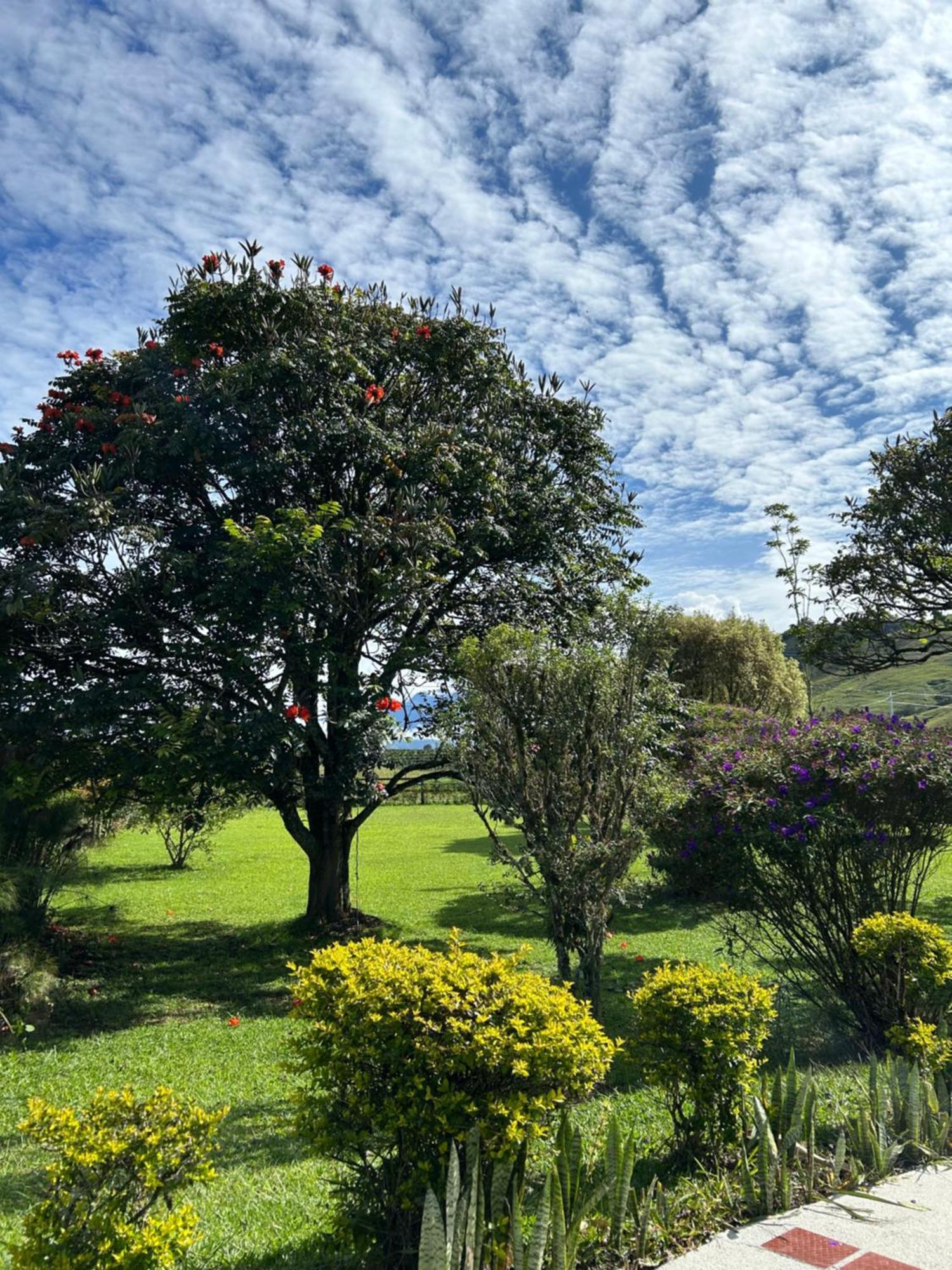 Hotel Paraiso Urrao